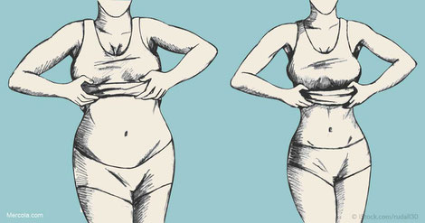 An illustration of an overweight versus fit lady 