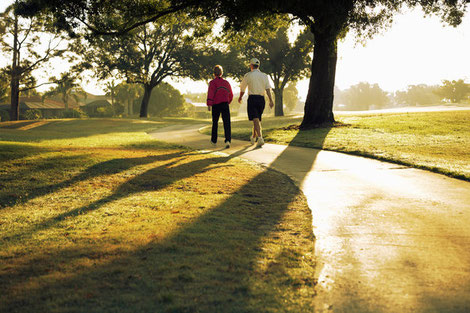 Older couple walking in the park in summer