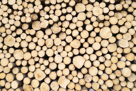 Freepik_Holzstapel.jpg: Holz ist ein nachhaltiger und langlebiger Rohstoff.