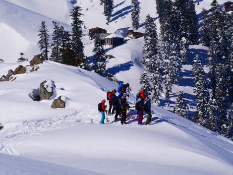 Freeride, Catski, Bakhmaro, Caucasus, Mountain Guide