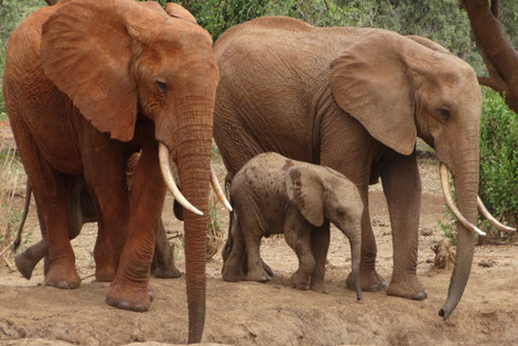 Kenia