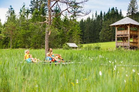 Naturparkurlaub in Mariahof Steiermark