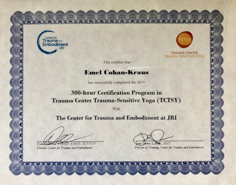 Zertifikat TCTSY Certificate TCTSY