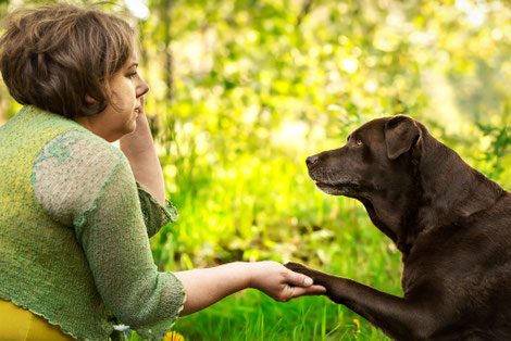 Rebecca Handwerk reicht ihrem Hund die Hand, Vertrauen in der Hundephysiotherapie