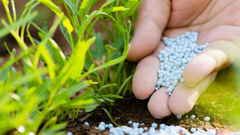 tipos de abonos utilizados para tu jardin, vivero valentín