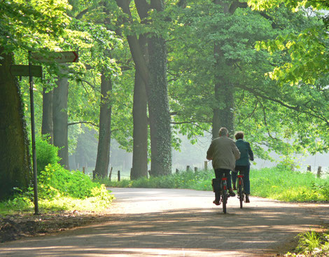 Radfahren im Münsterland