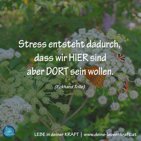 LEBE in deiner KRAFT | Stress entsteht dadurch ...