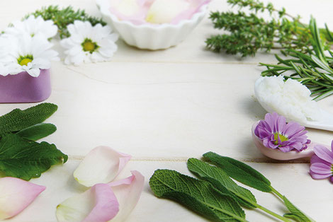 Le thym, la sauge et la menthe sont des plantes aromatiques au nombreux bienfaits sur l’organisme. Outre le parfum qu’elles donnent aux préparations culinaires, elles sont antiseptiques, fébrifuges ou encore apaisantes. crédit photo : Pixabay© silviarita