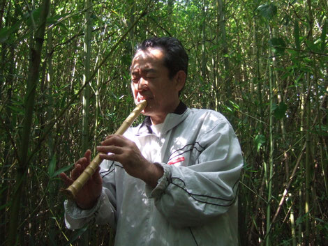 竹笛の素材。琉球竹へのこだわり - 沖縄の竹で作った竹笛・指竹笛製作