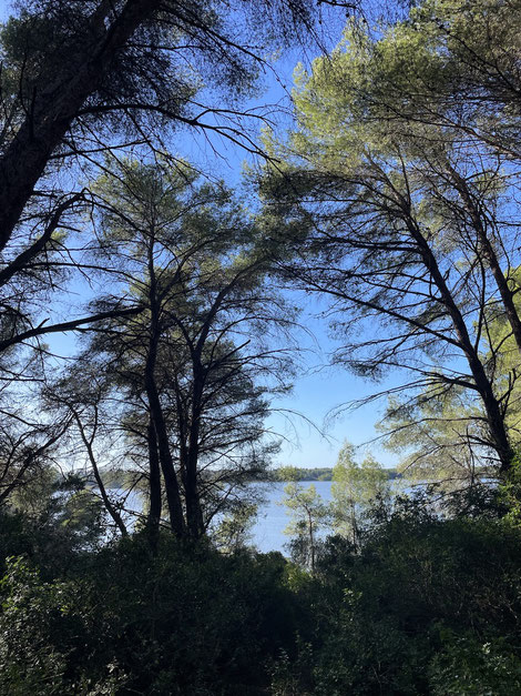 Laghi Alimini