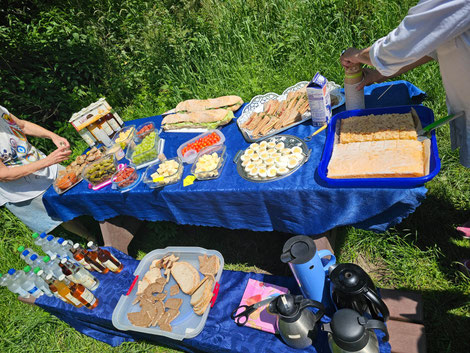 Buntes Buffet aufgebaut im Grünen