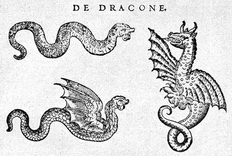 Abbildung aus dem "Schlangenbuch" von Conrad Gessner (1587 posthum erschienen)