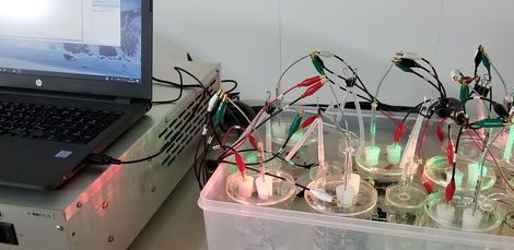 受託研究開発　電気化学　電池　燃料電池　カーボンニュートラル