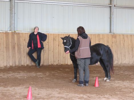 Mogli is now approving the progress made while he was out in the paddock