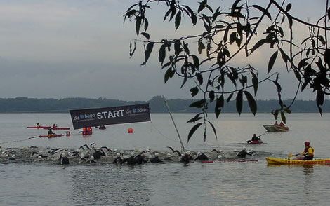 Startschuss zur 1500m-Schwimmstrecke