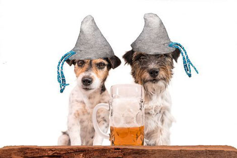 Dogtoberfest Hundeevent Oktoberfest Hunde München Hund Veranstaltung Leinen Los