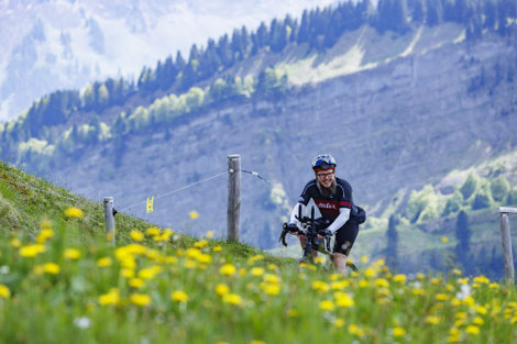 Ultra Endurance | Brevets | Ultradistanz