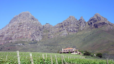 Weingut Uva Mira bei Stellenbosch