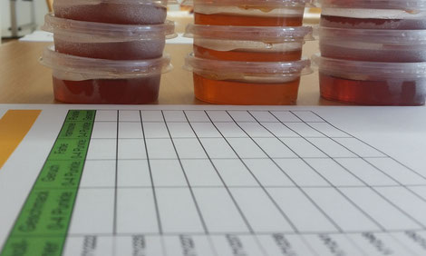 An der Kärntner Imkerschule sind die Vorbereitungen für die anstehende Honigsensorik voll angelaufen