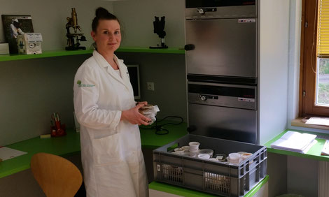 Im Labor der Imkerschule: Alenka Slatinek studierte Lebensmitteltechnologie in Ljubliana