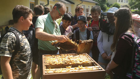 Über 100 Kärntner Bienenzuchtvereine begeistern Jung und Alt