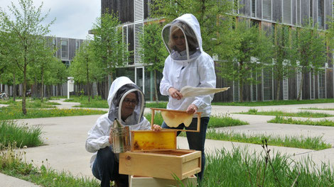 Foto: Stadtbienen Klagenfurt mit der Referentin für Imkerinnen Eva Krüll