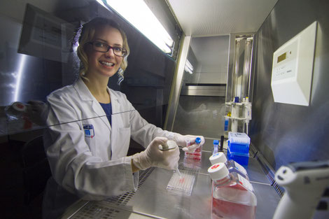 Dr. Theresa Scholl arbeitet an der "biologischen Werkbank" in ihrem Labor