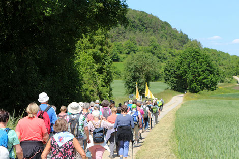 Auch in diesem Jahr werden wieder Wanderungen über Teilstrecken des Fränkischen Marienwegs im Erzbistum Bamberg angeboten. Foto: Jürgen Büttner