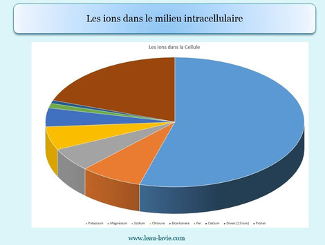 ions dans la cellule