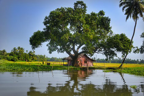 Alppey in Indien, das Bild steht in keinem Zusammenhang mit Lebenskleidung
