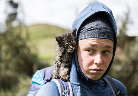 Laura and the kitten