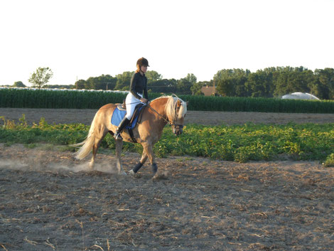 joy-with-horses Rücken