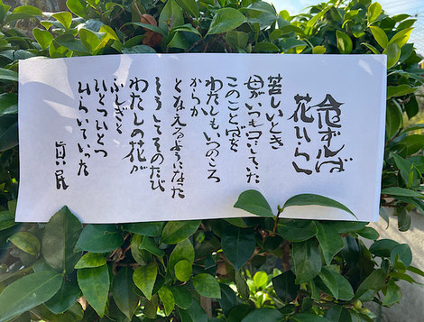 オンラインショップ - 音羽山観音寺 公式サイト オンラインショップ - 音羽山観音寺 公式サイト