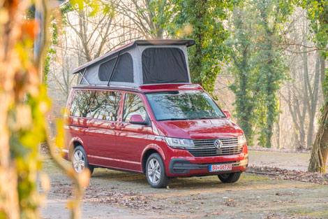 Reimo Aufstelldach für VW T6 Multivan und Caravelle