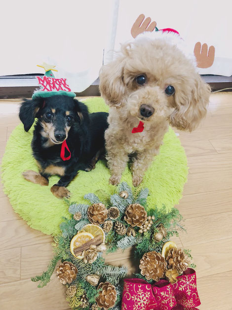 クリスマスリース ワークショップ
