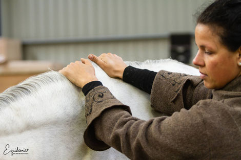 Massage for the neck. www.equidemia.com