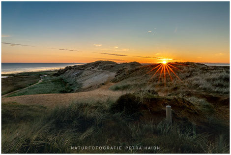 Sonnenaufgang über den Dünen