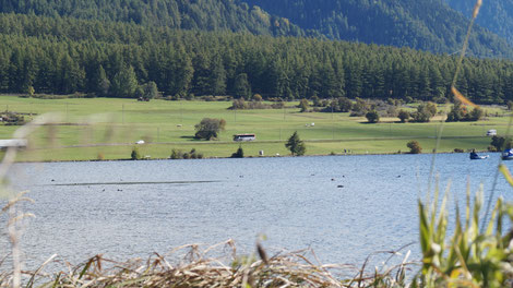 Der Linienbus unterwegs am Haidersee