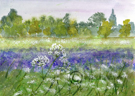 Watercolours inspired by Devon spring hedgerows, bluebells