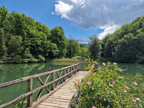 Ermitage Arlesheim Führung Heydebrand mittlerer Weiher Steg
