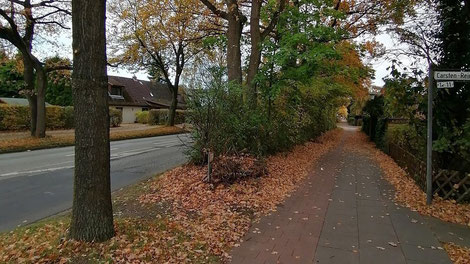 Fahrradweg mit alten Bäumen an der Ecke Karlshöhe - Carsten-Reimers-Ring