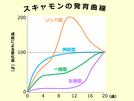 スキャモンの発育曲線