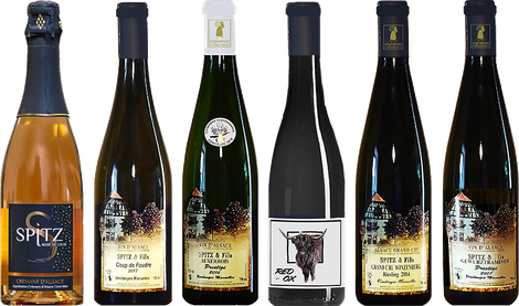 Eine kleine Weinauswahl vom Weingut Spitz & Fils 