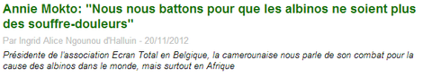 journal du cameroun le 20/11/2012