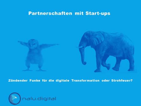 Link - Partnerschaften mit Startups