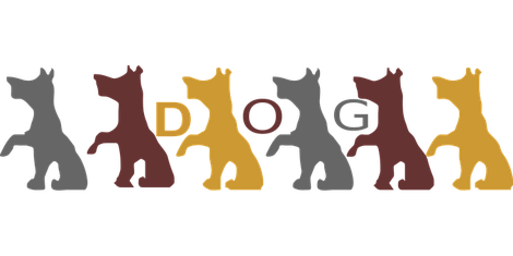 Hondenschool Rotterdam Puppycursus SHH GGB GG1 GG2 GG3 Agility Speuren Dectiespeuren Fun4paws