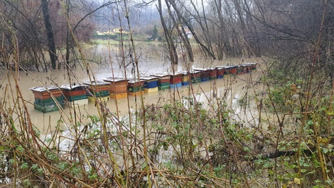 Die Unwetter machten auch vor den Bienen nicht Halt. Tipps zur Schadensaufnahme.