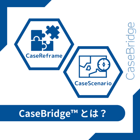 CaseBridgeは、導入事例を再構成する「CaseReframe」と、仮想提案を行う「CaseScenario」の2つのモジュールで構成されています。視点の再構築と未来のシナリオ提示を通じて、検討プロジェクトの立ち上げを支援します。