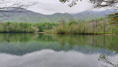平ヶ倉沼。魚もいます。登山道沿いに沼や湖があると癒される。2025/5/18
