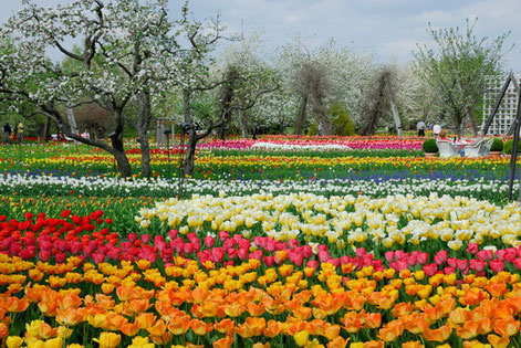 Berlin Britzergarten